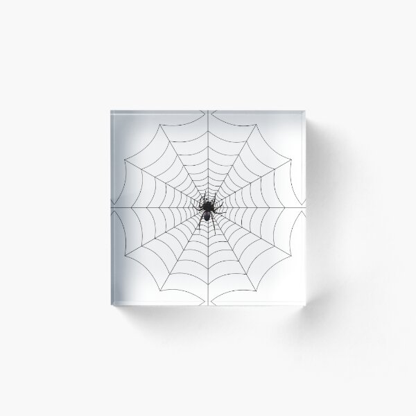 Spider web, spider, web, паутина, web, cobweb, net, tissue, spider's web, spinner, caterpillar Acrylic Block
