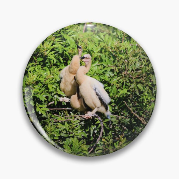 Item preview, Anhinga Chicks designed and sold by Michiale.