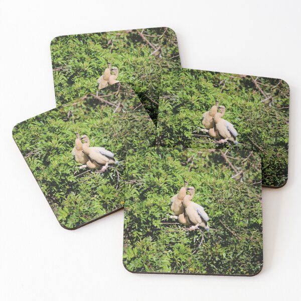Item preview, Anhinga Chicks designed and sold by Michiale.