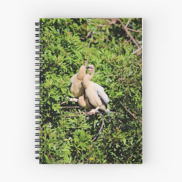 Item preview, Anhinga Chicks designed and sold by Michiale.
