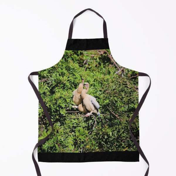 Item preview, Anhinga Chicks designed and sold by Michiale.