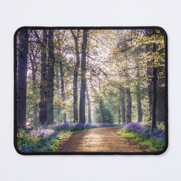 Item preview, "Follow the Bluebell Path Blickling Great Wood" designed and sold by Jim Key.