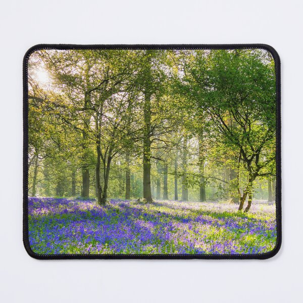 Item preview, Bluebell Wood designed and sold by Jim Key.
