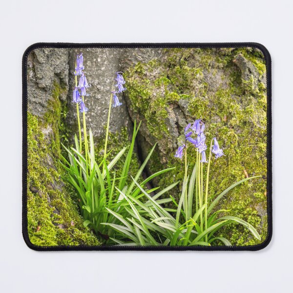 Item preview, Bluebells and a great Tree designed and sold by Jim Key.