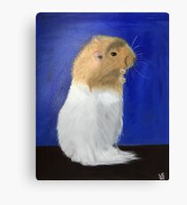 Piontek The Hamster Canvas Print