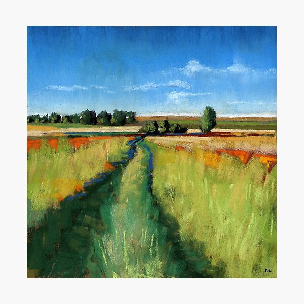 Abandoned Path landscape Photographic Print
