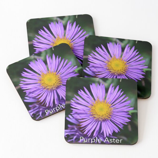 Item preview, Purple Aster Flower designed and sold by phelanartwork67.