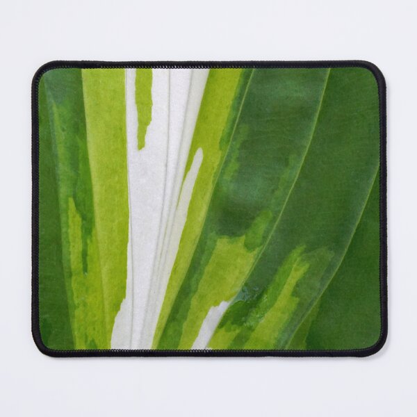 Item preview, Hosta Eruption designed and sold by Kathilee.