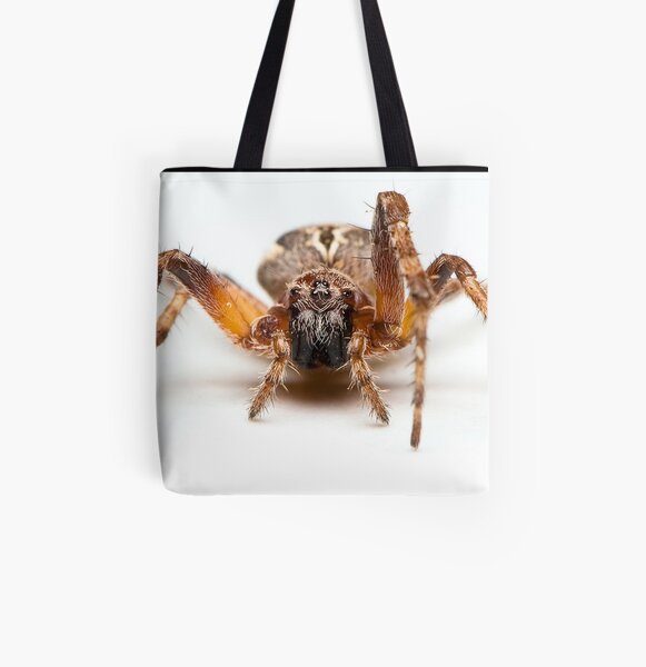 Spider web, spider, web, паутина, web, cobweb, net, tissue, spider's web, spinner, caterpillar All Over Print Tote Bag