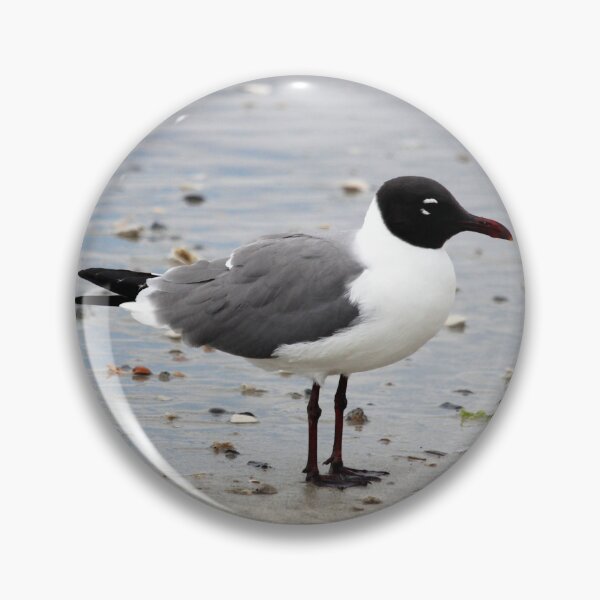 Item preview, Laughing Gull At The Beach designed and sold by Cynthia48.