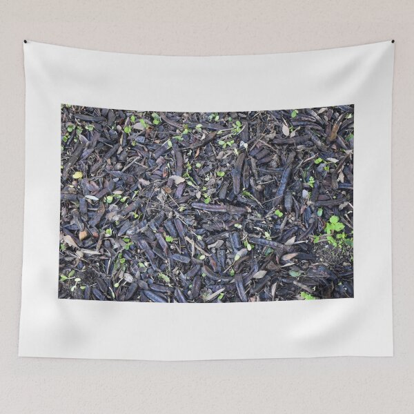 Item preview, Carob Pods designed and sold by Igor Pozdnyakov.