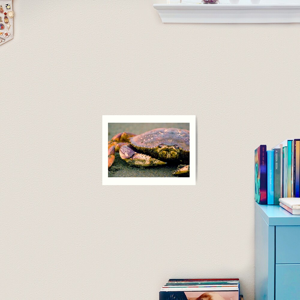 Absolutely Crabulous Art Print