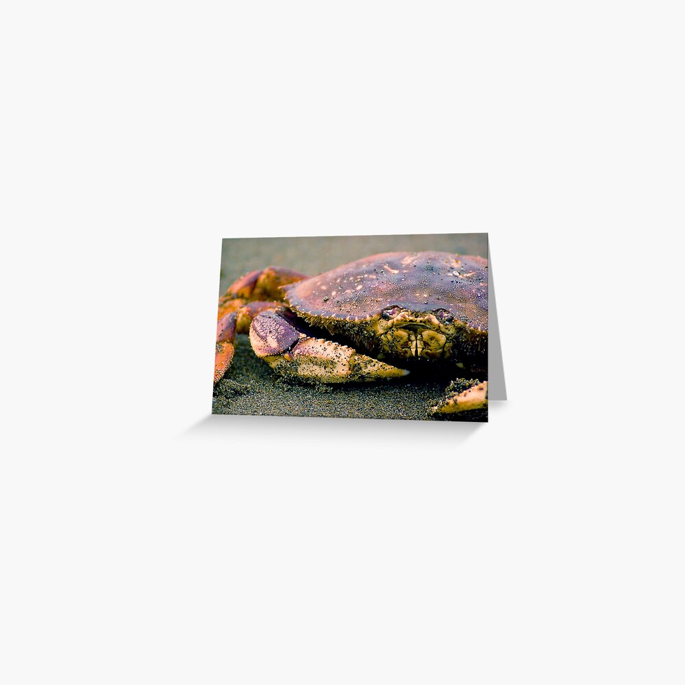Absolutely Crabulous Greeting Card