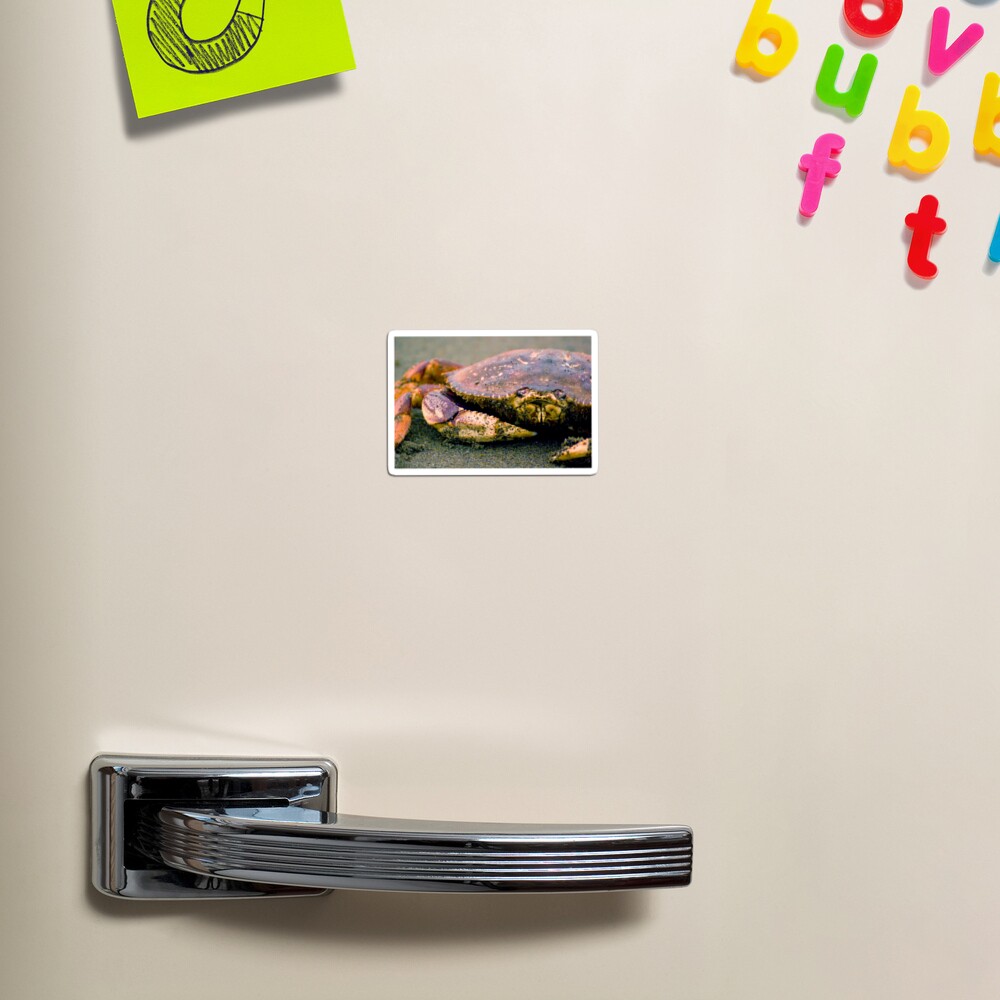 Absolutely Crabulous Magnet
