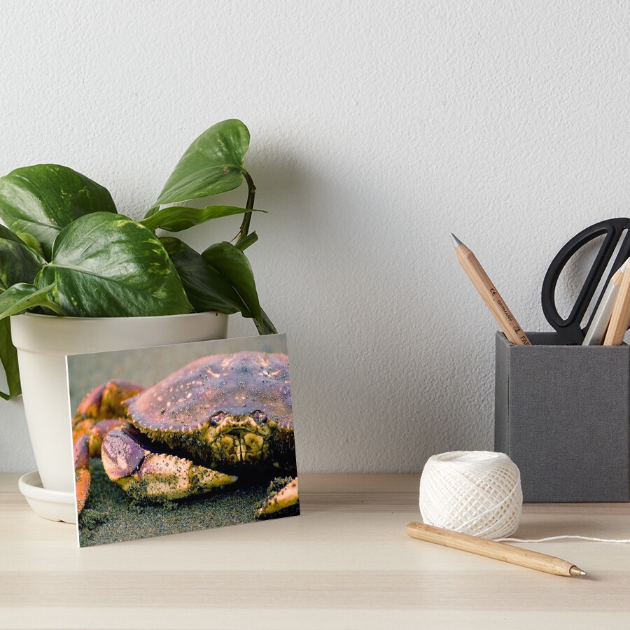 Absolutely Crabulous Art Board Print