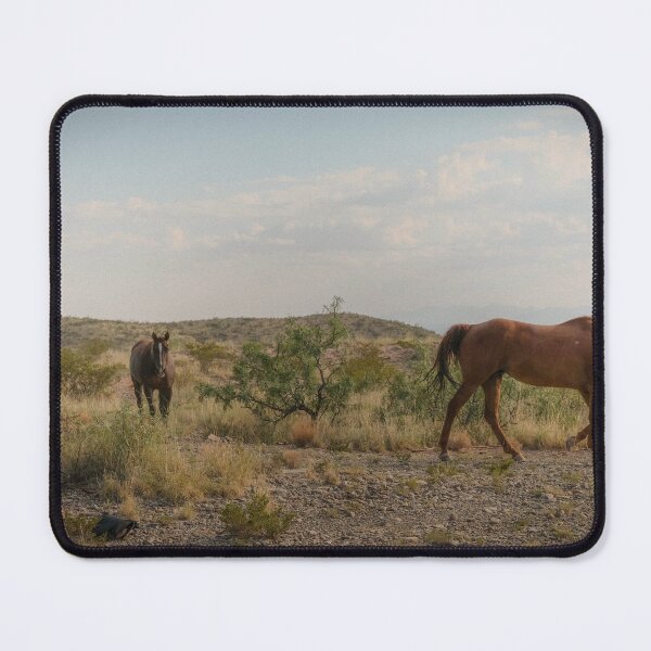 Item preview, Horses in New Mexico designed and sold by Jacob Robitaille.