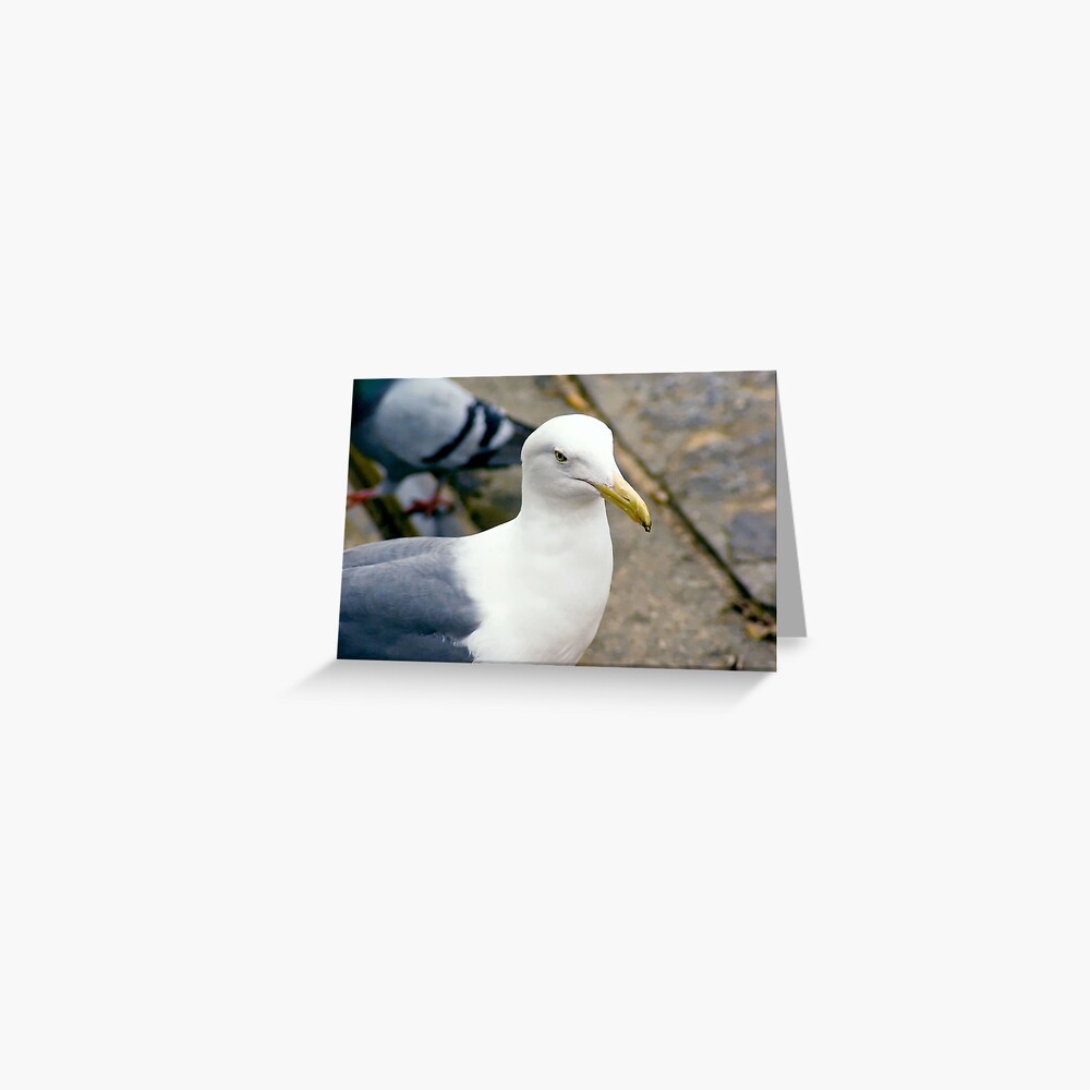 Item preview, Greeting Card designed and sold by DaogreerEarth.