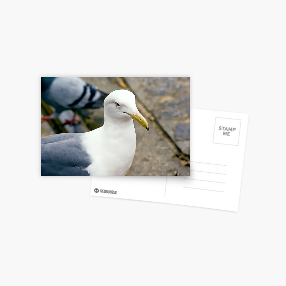 Item preview, Postcard designed and sold by DaogreerEarth.