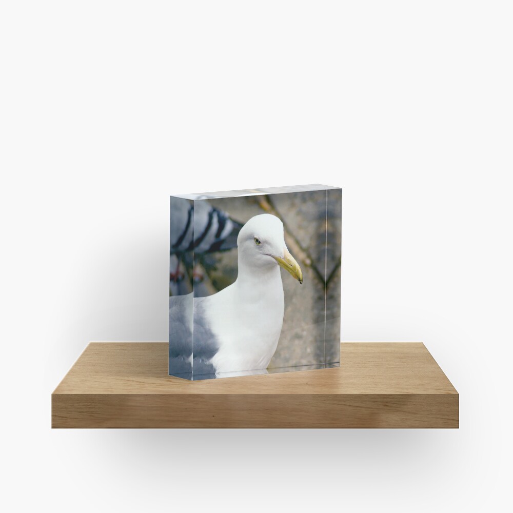 Item preview, Acrylic Block designed and sold by DaogreerEarth.