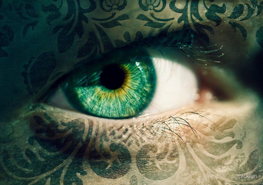 "An Eye for Art" by micklyn Redbubble