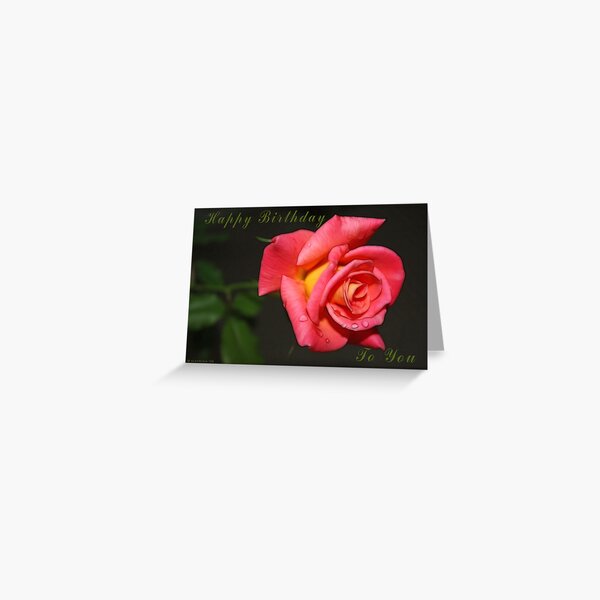 Happy Birthday - Rose - Greeting Card