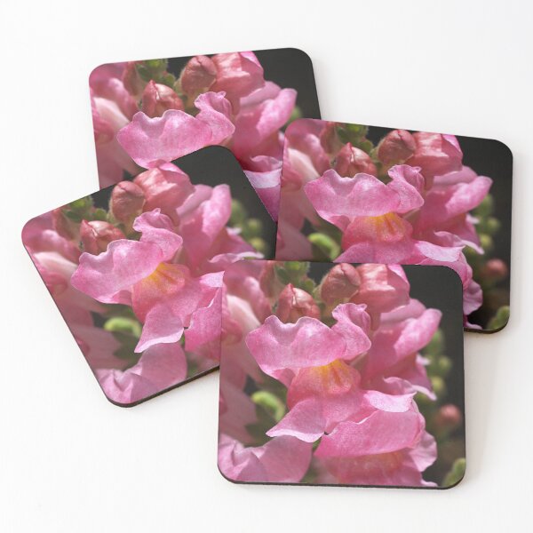 Item preview, Snapdragon Pink designed and sold by Joy Watson - Natural Light Photography .