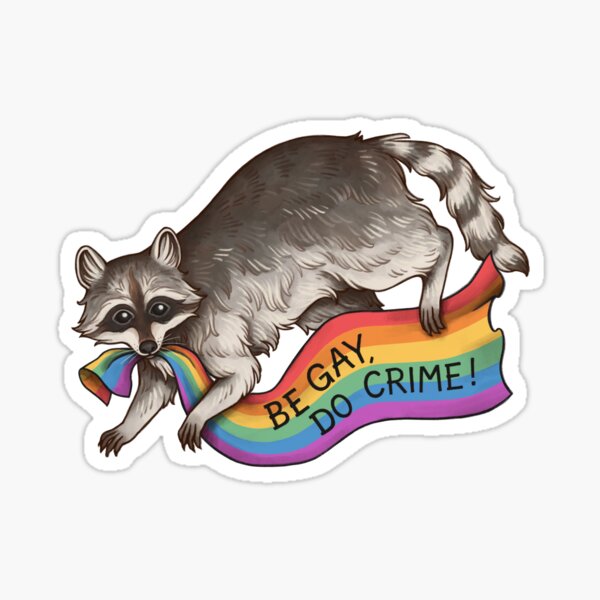 Go Gays! - Funny Raccoon Pride Meme - Gay - Posters and Art Prints