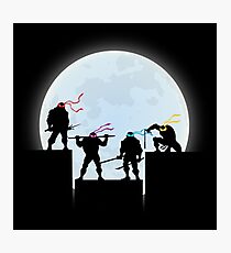 Lámina fotográfica Ninjas