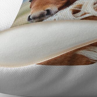 Alternate view of The stunning Icelandic Pony. Floor Pillow