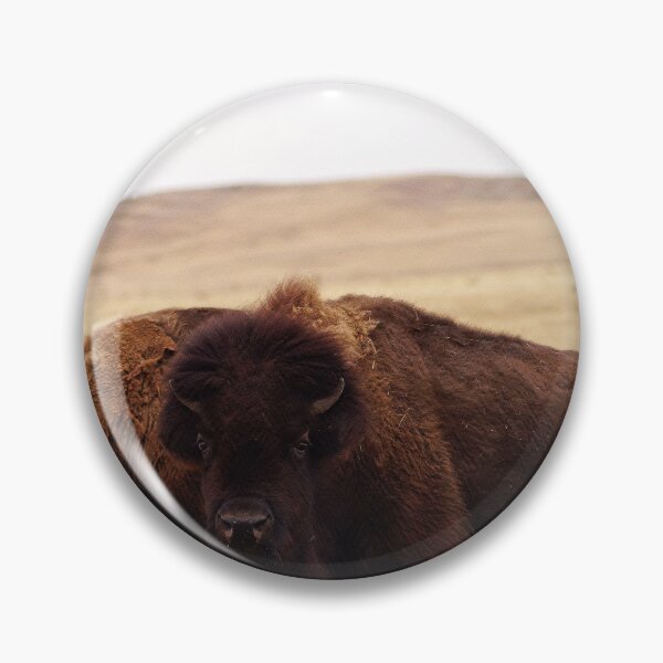 Item preview, Bison Buddies designed and sold by Vivar Photo.