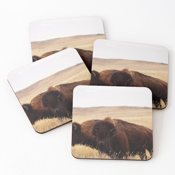 Item preview, Bison Buddies designed and sold by Vivar Photo.