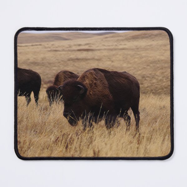 Item preview, Bison on the Range designed and sold by Vivar Photo.