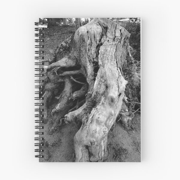 Item preview, History #1 designed and sold by Douglas E. Welch Design and Photography.