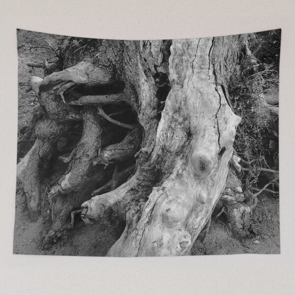 Item preview, History #1 designed and sold by Douglas E. Welch Design and Photography.