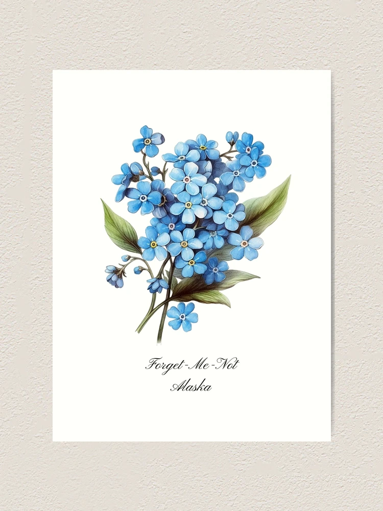 Forget Me Not Flowers, Wall Art Print, Forget Me Not Watercolor Flowers,  Garden Art Prints, Alaska State Flower, Mothers Day Gift 8x10 -  Denmark