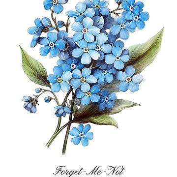 Flowers - Forget Me Not – Alaska Wild & Free