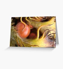 Sago Greeting Card