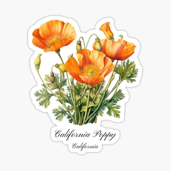 Item preview, California State Flower- California Poppy designed and sold by Counterbalance Dzigns.