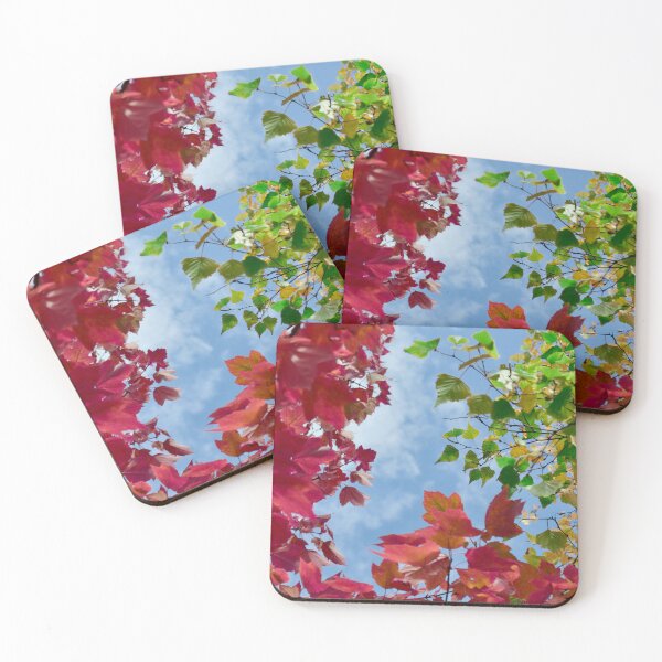 Item preview, Fall...but Make it Pink designed and sold by Marisa Bechtel.