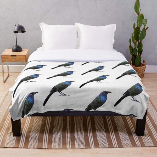 Item preview, Grackle Business (no background) designed and sold by Emily Bickell.