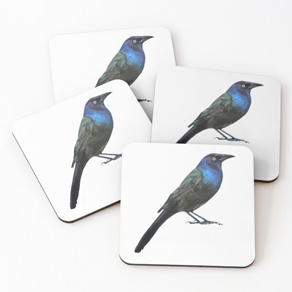 Item preview, Grackle Business (no background) designed and sold by Emily Bickell.