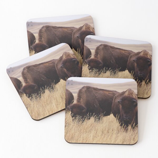 Item preview, Small Bison Herd in Tall Parched Grass  designed and sold by Vivar Photo.