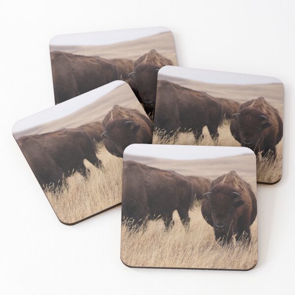 Item preview, Two Bison in Dry Grass designed and sold by Vivar Photo.