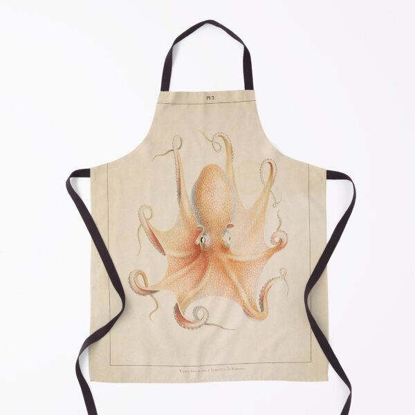 Item preview, Jean Baptiste Vérany's Mollusques méditeranéens (1851) designed and sold by HistoryOfHappy.