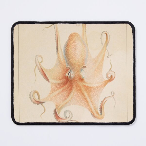 Item preview, Jean Baptiste Vérany's Mollusques méditeranéens (1851) designed and sold by HistoryOfHappy.