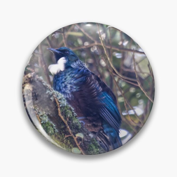 Item preview, Pájaro Tui (Nueva Zelanda) designed and sold by Dash Kitten Photos.