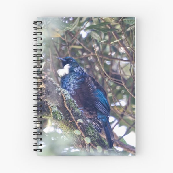 Item preview, Tui Bird (New Zealand) designed and sold by Dash Kitten Photos.