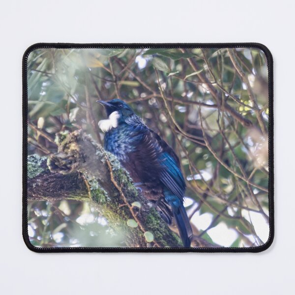 Item preview, Tui Bird (New Zealand) designed and sold by Dash Kitten Photos.