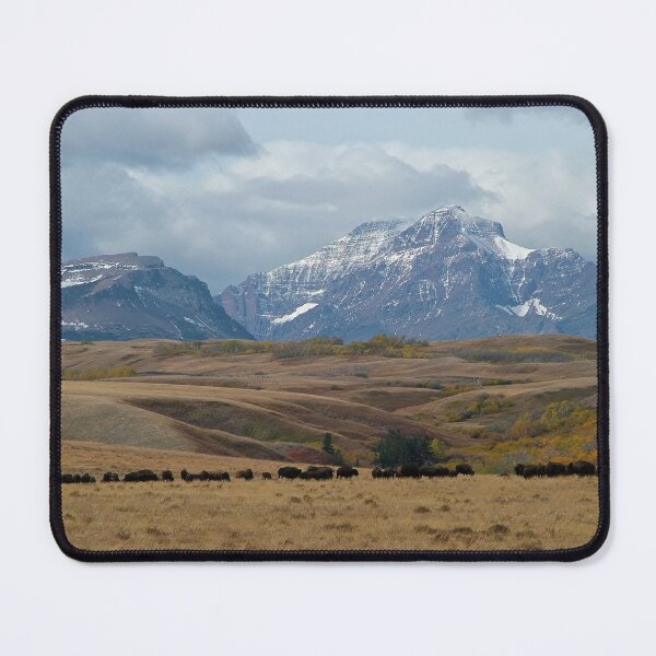 Item preview, Scenic Point and Rising Wolf Mountains with Bison Herd designed and sold by Vivar Photo.