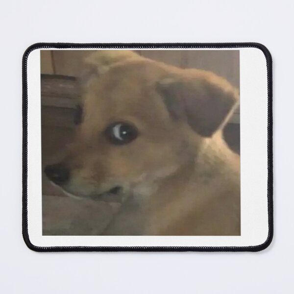 Item preview, Doubtful look dog meme designed and sold by Jeampierre007.